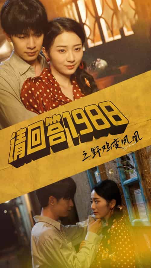 请回答1988之野鸡变凤凰（81集） - 海之城短剧
