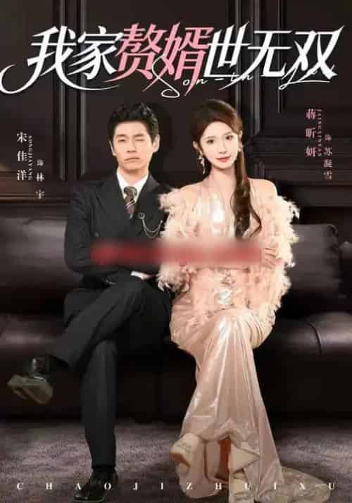 我家赘婿世无双（73集全）宋佳洋＆蒋昕妍-海之城短剧项目