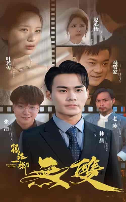 孤注一掷之无双（100集） - 海之城短剧