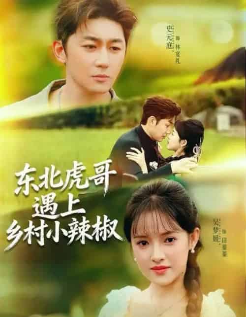 东北虎哥遇上乡村小辣椒（67集全）史元庭＆吴梦媛-海之城短剧项目