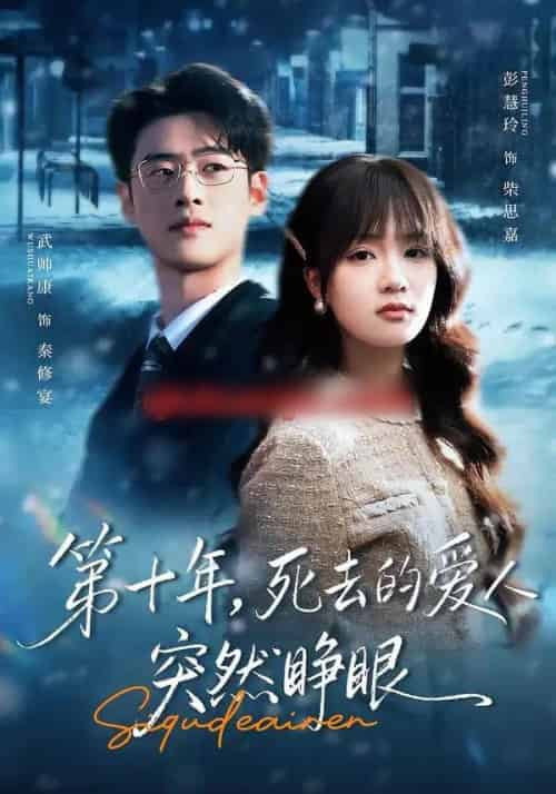 第十年，死去的爱人突然睁眼（62集全）武帅康＆彭慧玲-海之城短剧项目