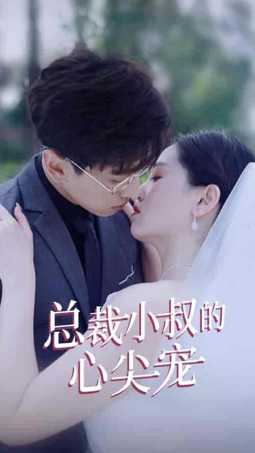 总裁小叔的心尖宠（80集） - 海之城短剧