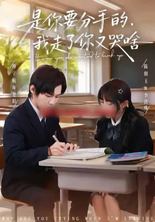 是你要分手的，我走了你又哭啥（83集全）傅宇航＆陈朝玉-海之城短剧项目
