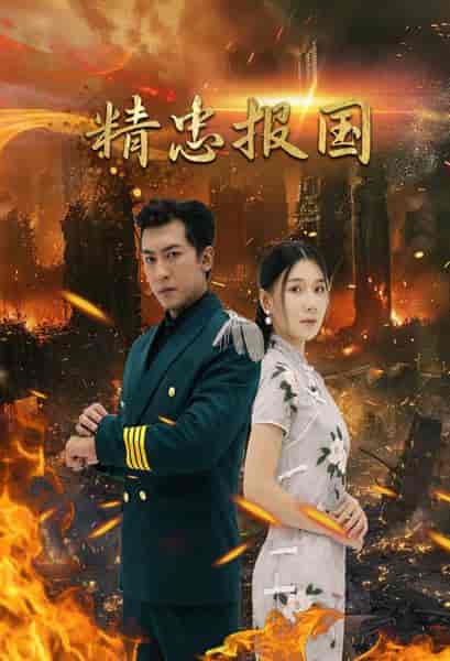 精忠报国（61集） - 海之城短剧