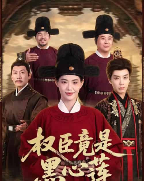 权臣竟是黑心莲（61集全）唐书亚＆董洁-海之城短剧项目