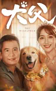 犬父（40集） - 海之城短剧