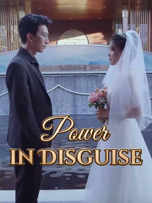 Power in Disguise Power in Disguise