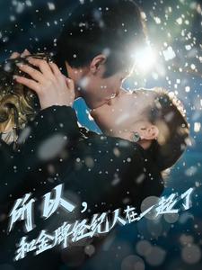 所以和金牌经纪人在一起了（30集全）杨鹏丞＆锡日苏伦雅 - 海之城短剧