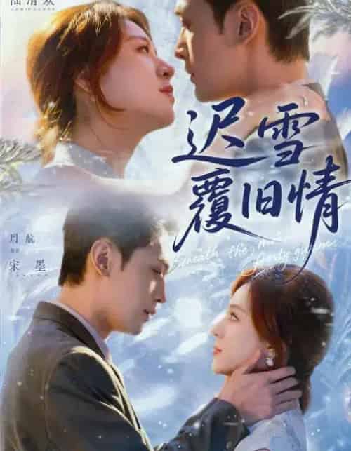 迟雪覆旧情（62集全）高曼尔＆周航-海之城短剧项目