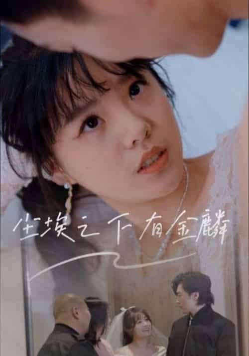 尘埃之下有金鳞（60集）汪晓彤 - 海之城短剧