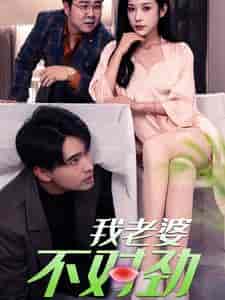 我老婆不对劲（34集全）林琦婷 - 海之城短剧
