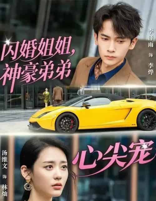 闪婚姐姐，神豪弟弟心尖宠（54集全）李泽雨＆汤维文-海之城短剧项目