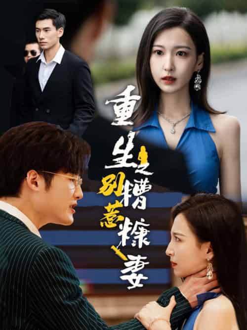 重生之别惹糟糠妻（59集全） - 海之城短剧