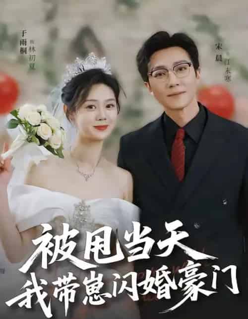 被甩当天我带崽闪婚豪门（70集全）宋晨＆于雨桐-海之城短剧项目