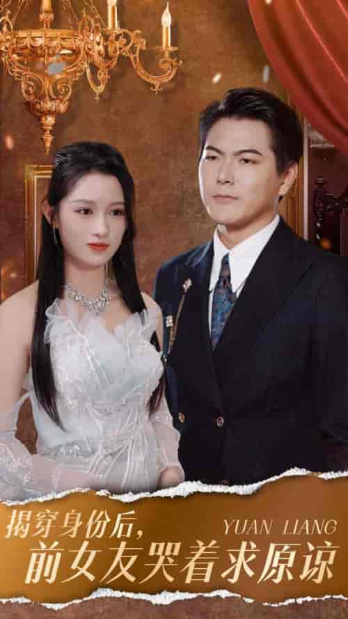 揭穿身份后，前女友哭着求原谅（30集全）赵慧 宁宁 - 海之城短剧