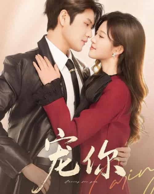 宠你（68集全）张志伟＆刘盈-海之城短剧项目