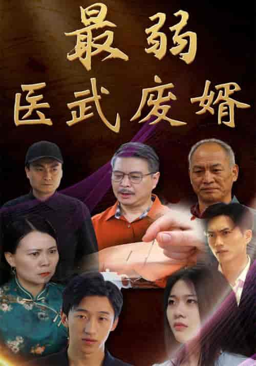 最弱医武废婿（70集全）赵辰＆林雨怡 - 海之城短剧