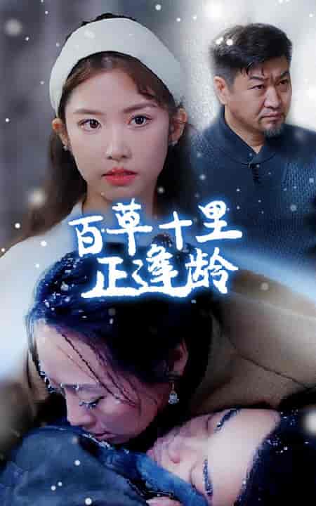 百草十里正逢龄（40集全） - 海之城短剧