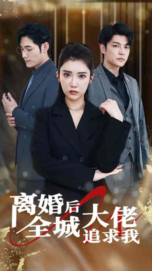 离婚后全城大佬追求我（78集） - 海之城短剧