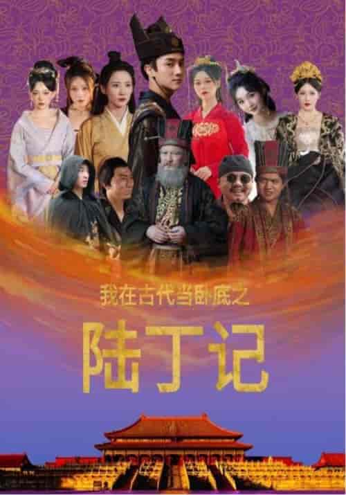 我在古代当卧底之陆丁记（97集全） - 海之城短剧