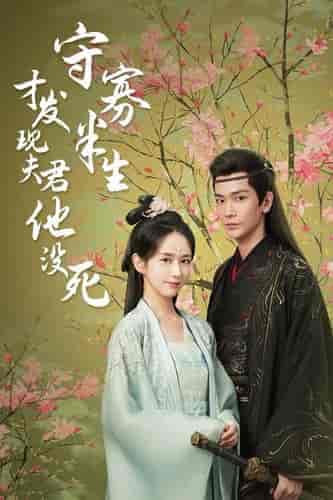 守寡半生才发现夫君他没死（77集全） - 海之城短剧