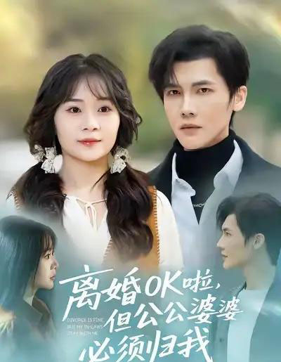 离婚OK啦，但公公婆婆必须归我（81集全）蒋辰瑞＆李雨桐-海之城短剧项目