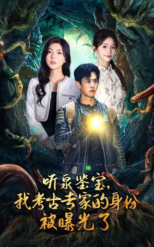 听泉鉴宝，我考古专家的身份被曝光了（62集全） - 海之城短剧