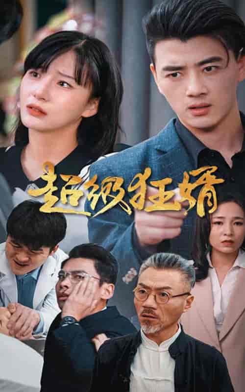 超级狂婿（81集） - 海之城短剧