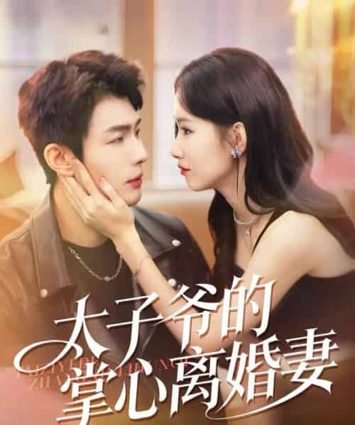 太子爷的掌心离婚妻（76集全）张培君＆杨云绚-海之城短剧项目