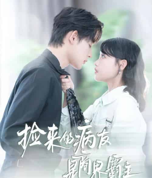 捡来的病友是商界霸主＆疯诱（60集全）龚芳妮＆张力壬-海之城短剧项目