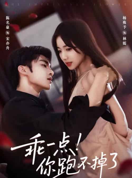 乖一点！你跑不掉了（85集全）陈名豪＆杨殊予-海之城短剧项目