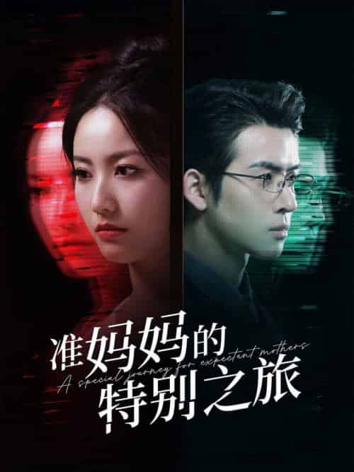 准妈妈的特别之旅（80集全） - 海之城短剧