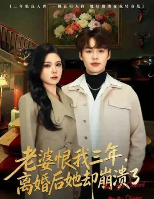老婆恨我三年，离婚后她却崩溃了（80集全）魏森焱＆杨韩柠-海之城短剧项目