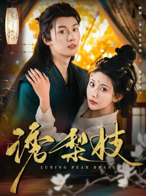 诱梨枝（73集全）刘宇航＆秦天爱 - 海之城短剧