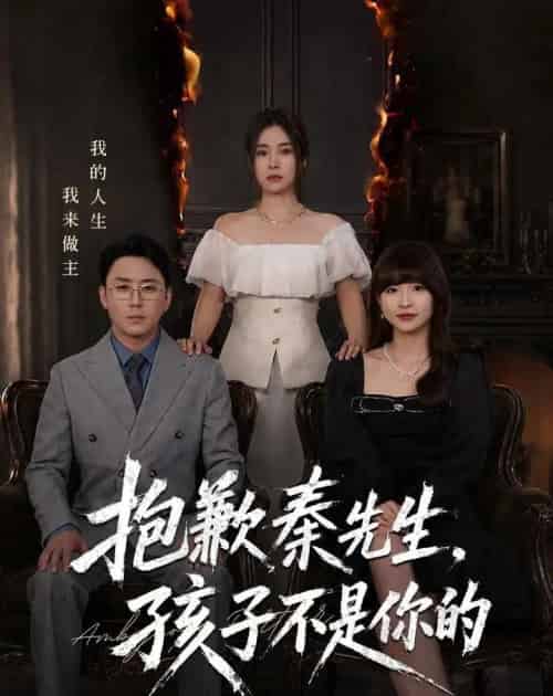 抱歉秦先生，孩子不是你的（53集全）张晓楠＆阎纪圻-海之城短剧项目