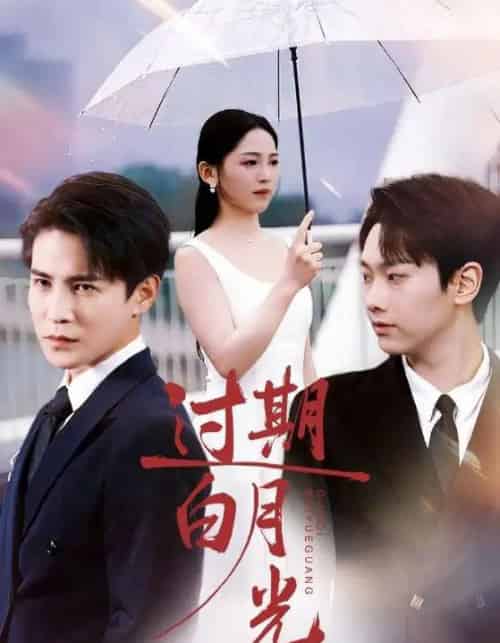 过期白月光（80集全）崔秀子＆李子锋-海之城短剧项目