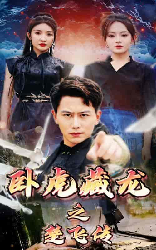 卧虎藏龙之楚飞传（61集全） - 海之城短剧