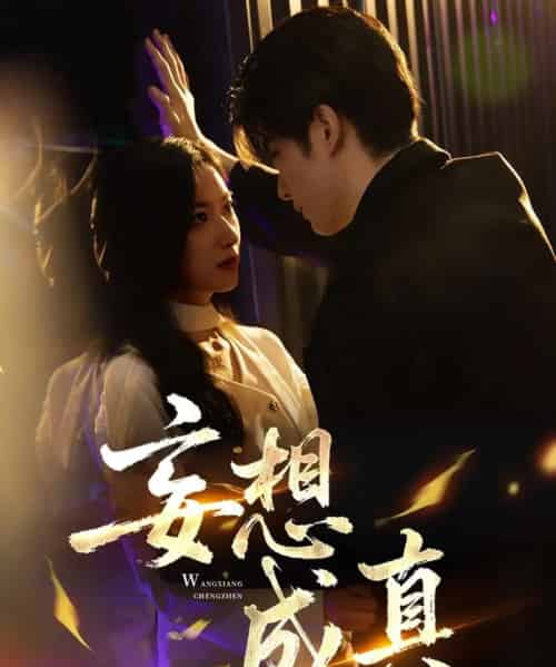 妄想成真（78集全）裘哲夫＆张张（张玉娇）-海之城短剧项目