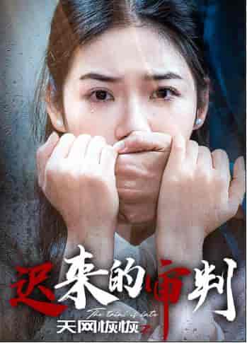 天网恢恢之迟来的审判（31集全）李艺璇 - 海之城短剧