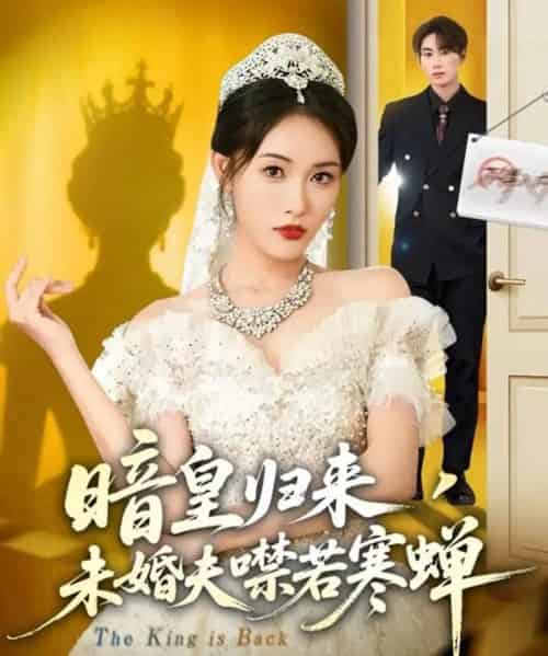 暗皇归来，未婚夫噤若寒蝉（65集全）刘星辰＆王浩-海之城短剧项目