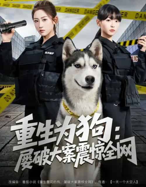 重生为狗：屡破大案震惊全网（80集全）王冰星＆范经明-海之城短剧项目