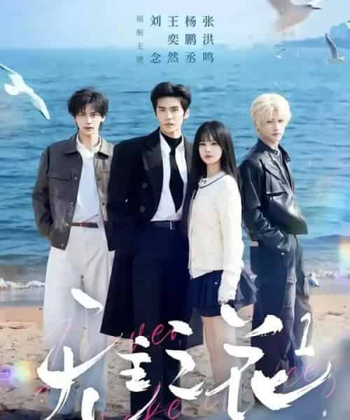 无主之花1（71集全）王奕然＆刘念＆杨鹏丞＆张洪鸣-海之城短剧项目
