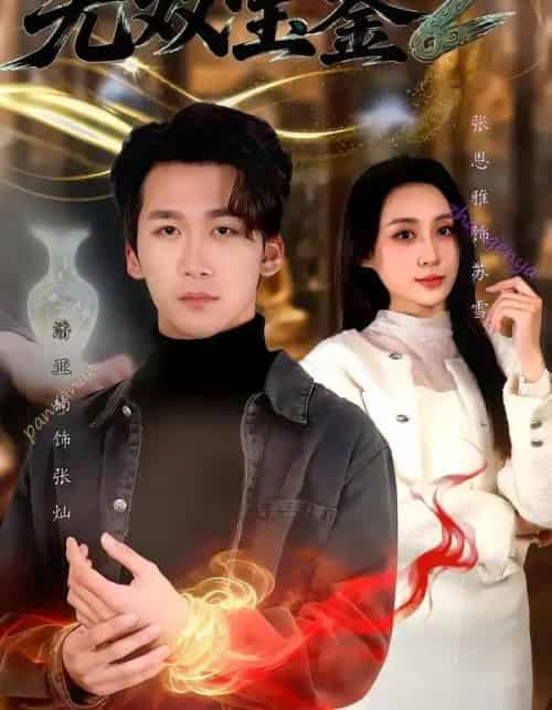 无双宝鉴2（80集全）潘亚楠＆闫思柔-海之城短剧项目