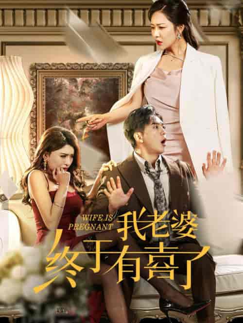 我老婆终于有喜了（40集全）钟莹玲 - 海之城短剧