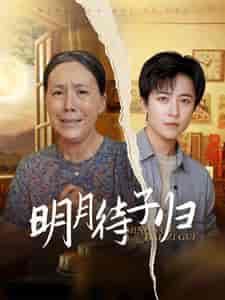 明月待子归（80集） - 海之城短剧