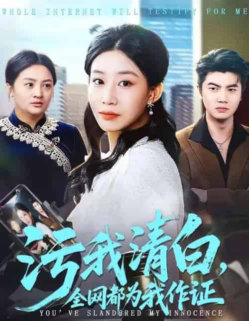 污我清白，全网都为我作证（95集全）白俊城＆发发-海之城短剧项目