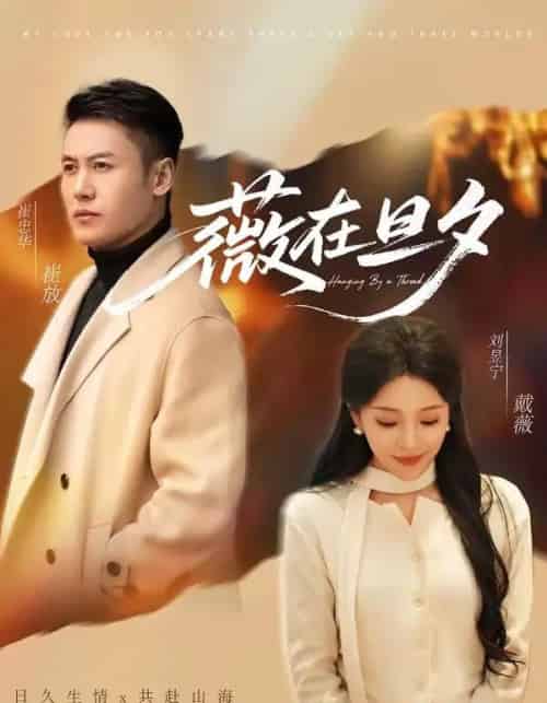 薇在旦夕（80集全）崔忠华＆刘昱宁-海之城短剧项目