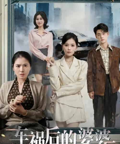 车祸后的婆婆（95集全）武帅康＆向云茜＆林俊诗-海之城短剧项目