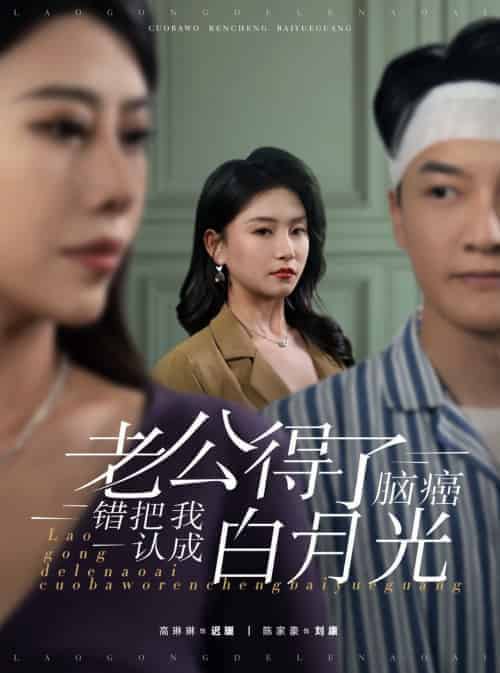 老公得了脑癌错把我认成白月光（30集全） - 海之城短剧