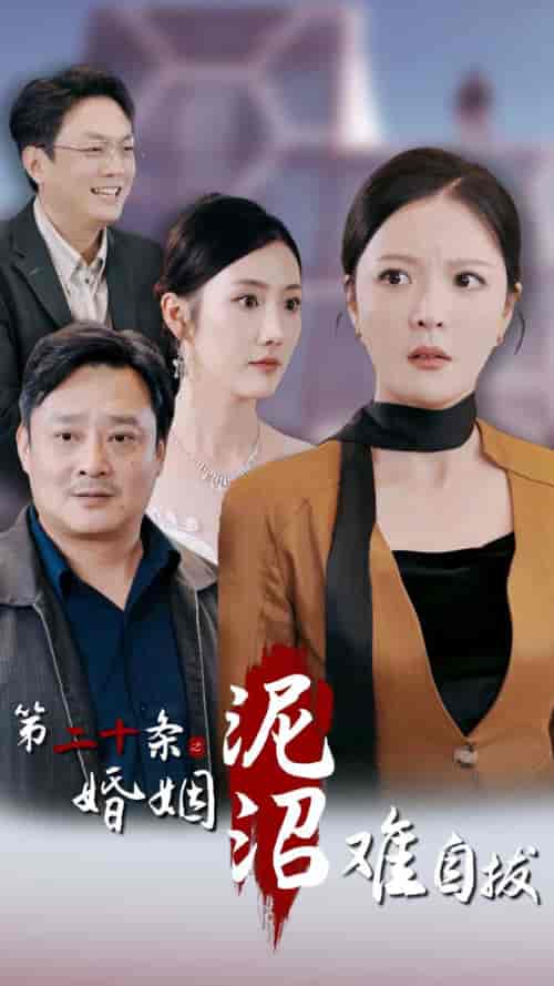 第二十条之婚姻沼泽难自拔（31集全）李明 - 海之城短剧